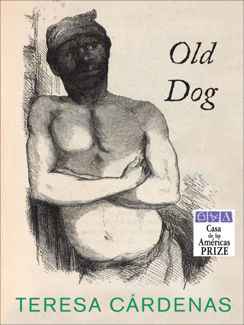 Cover image for book Old Dog
