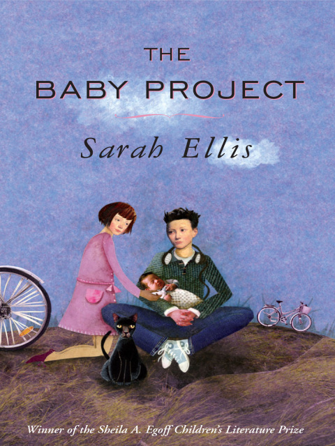 Cover image for book The Baby Project