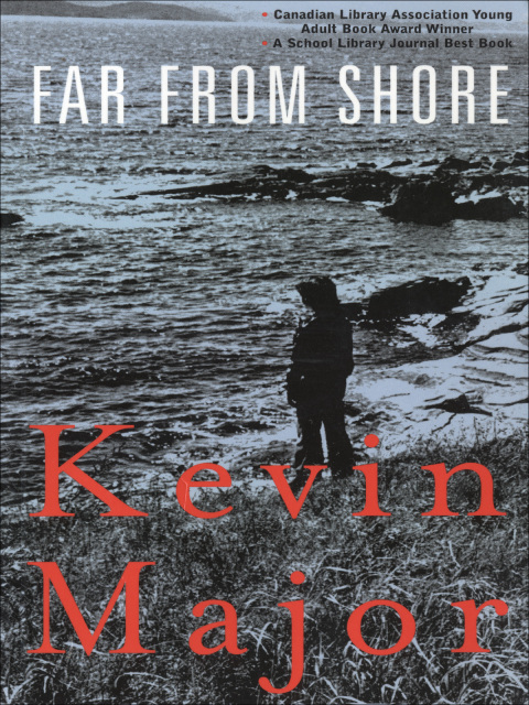 Cover image for book Far From Shore