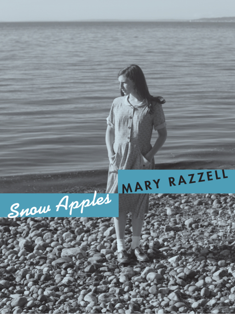Cover image for book Snow Apples