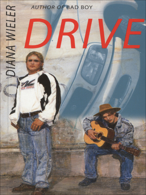Cover image for book Drive