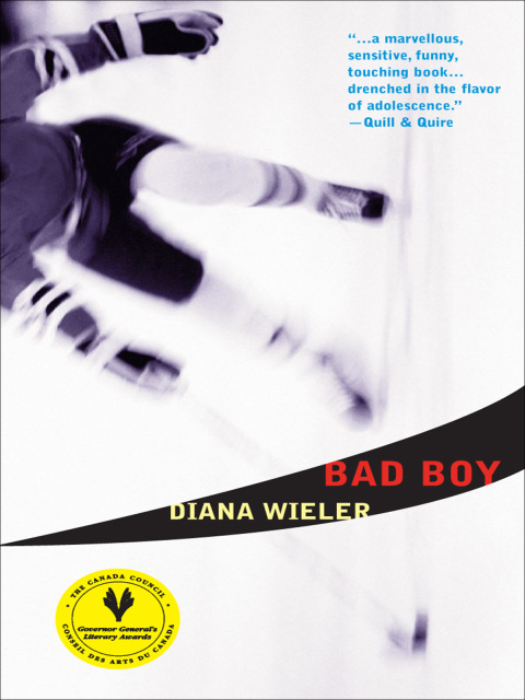 Cover image for book Bad Boy