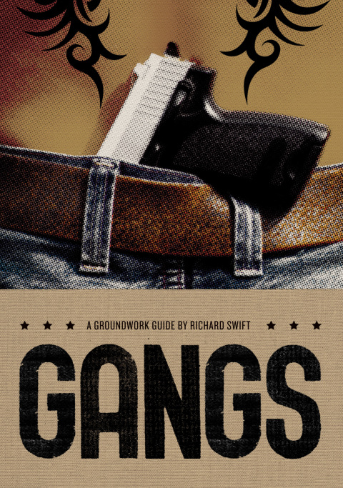 Cover image for book Gangs