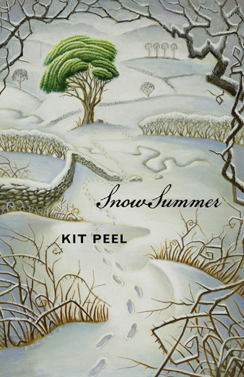 Cover image for book Snow Summer