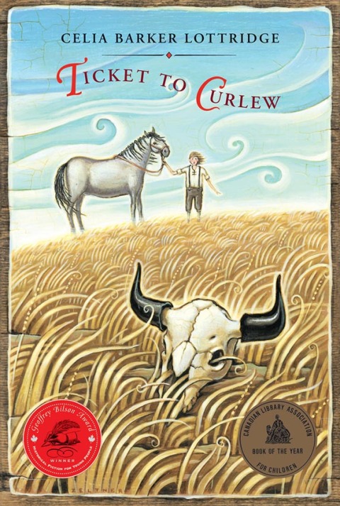 Cover image for book Ticket to Curlew