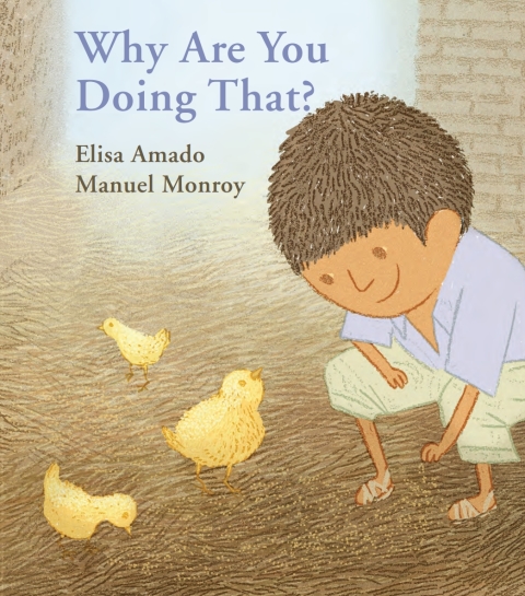 Cover image for book Why Are You Doing That?
