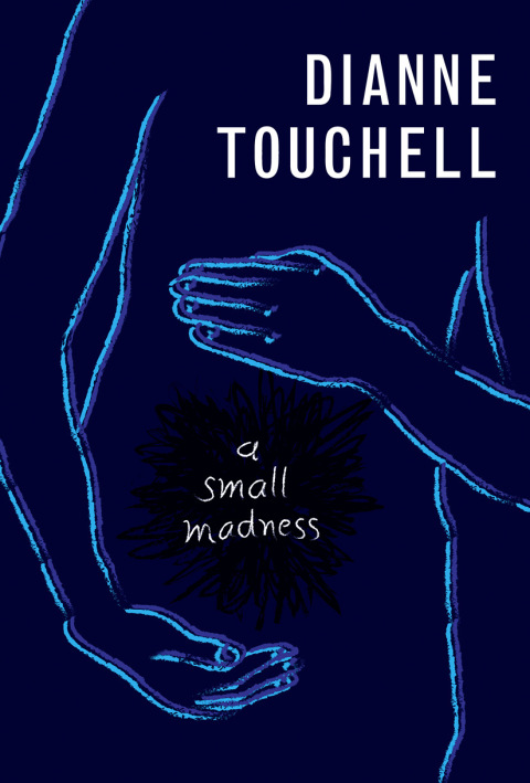 Cover image for book A Small Madness