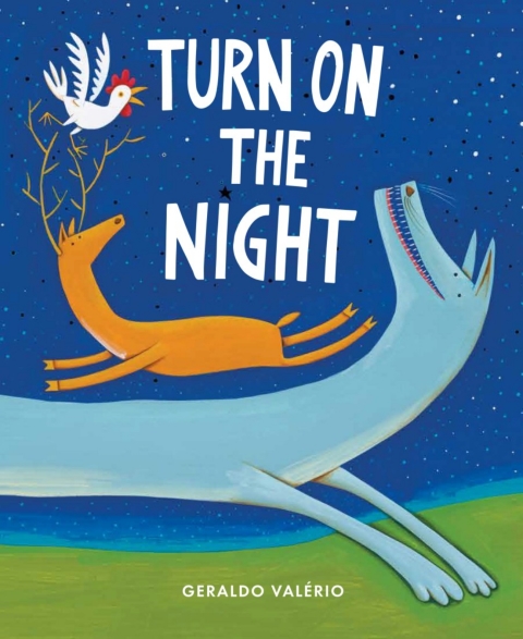 Cover image for book Turn On the Night