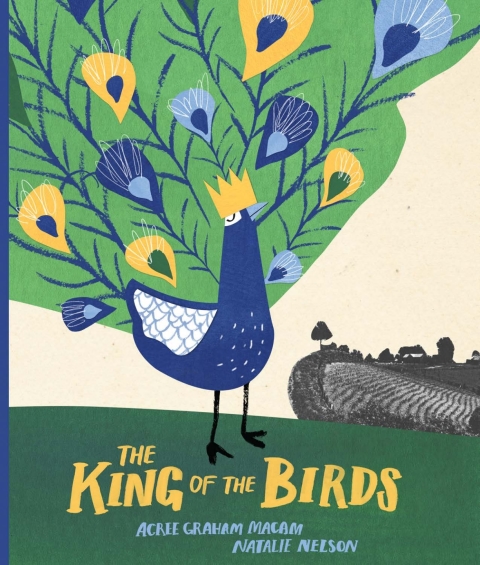 Cover image for book The King of the Birds