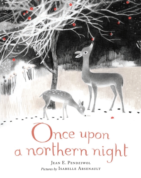Cover image for book Once Upon a Northern Night