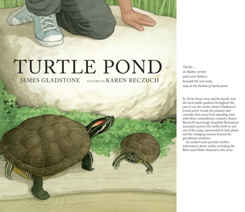 Cover image for book Turtle Pond