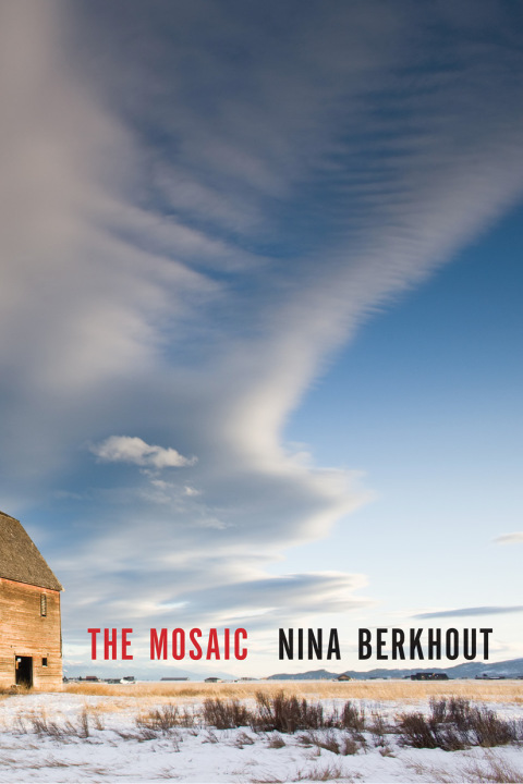 Cover image for book The Mosaic