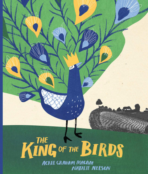 Cover image for book The King of the Birds