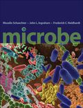 Microbe - Moselio Schaechter