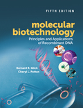 Molecular Biotechnology: Principles and Applications of Recombinant DNA: Principles and Applications of Recombinant DNA - Bernard R. Glick