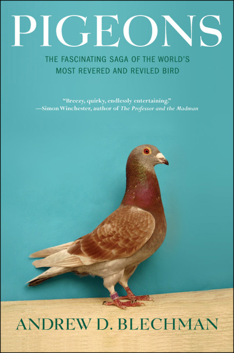 Cover image for book Pigeons