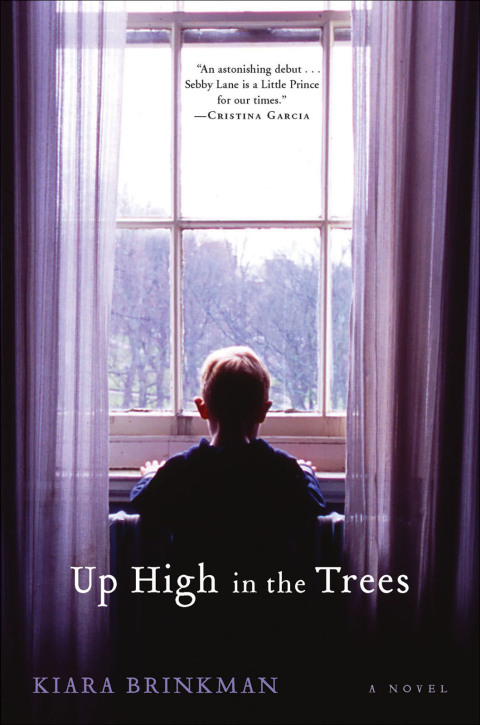 Cover image for book Up High in the Trees