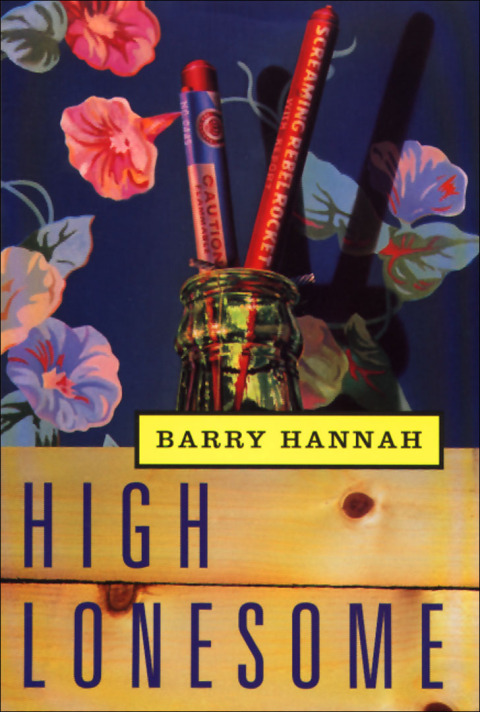 Cover image for book High Lonesome