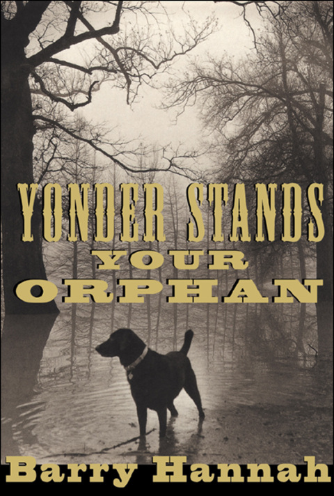 Cover image for book Yonder Stands Your Orphan