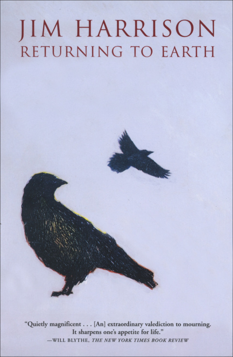 Cover image for book Returning to Earth