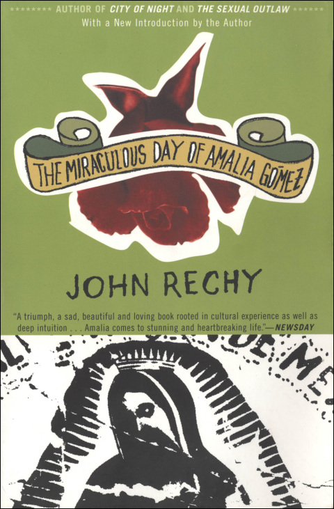 Cover image for book The Miraculous Day of Amalia Gómez