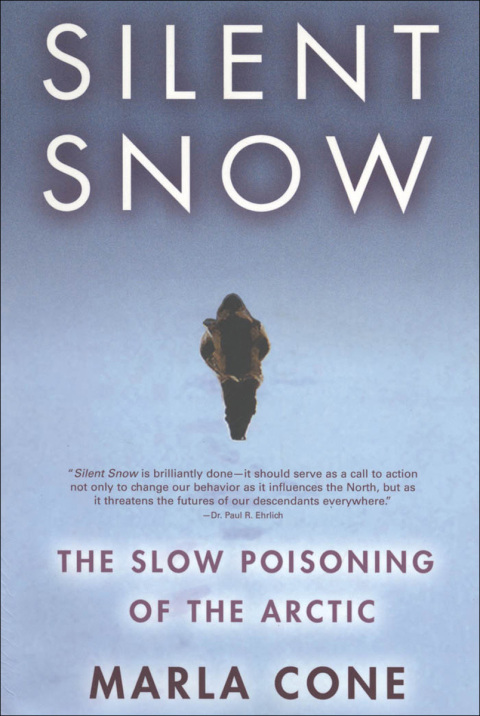 Cover image for book Silent Snow