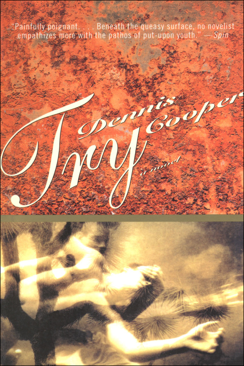 Cover image for book Try