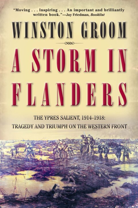 Cover image for book A Storm in Flanders