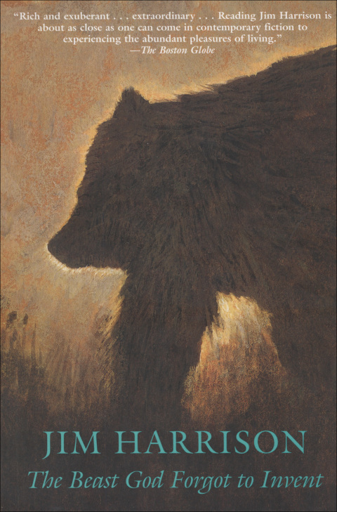 Cover image for book The Beast God Forgot to Invent