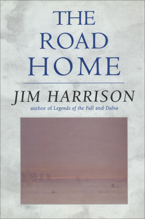 Cover image for book The Road Home