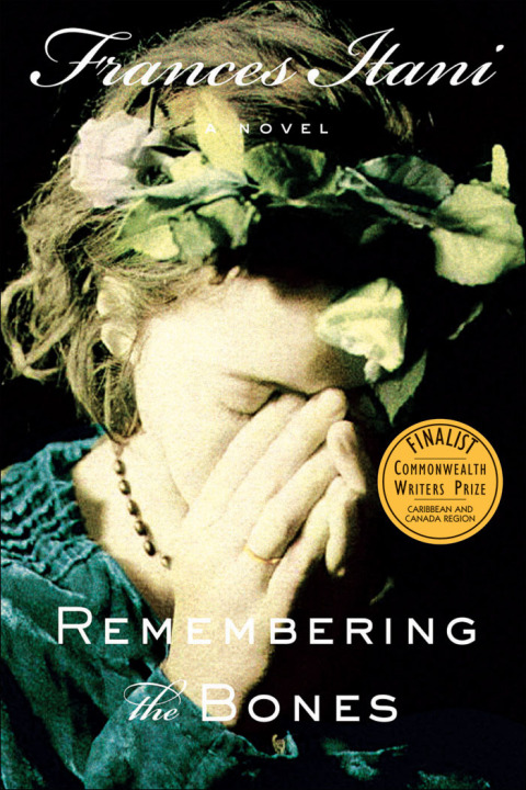 Cover image for book Remembering the Bones