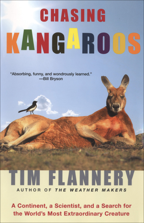 Chasing Kangaroos 