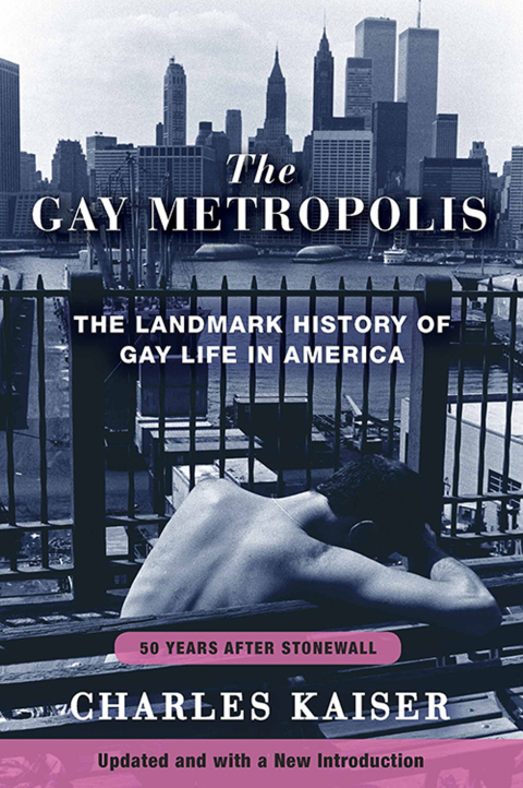 Cover image for book The Gay Metropolis