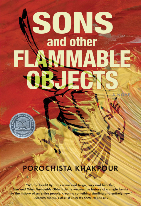 Cover image for book Sons and Other Flammable Objects