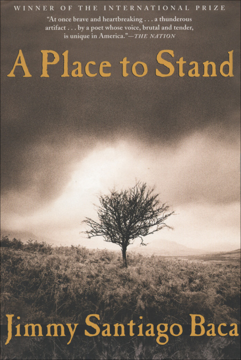 Cover image for book A Place to Stand