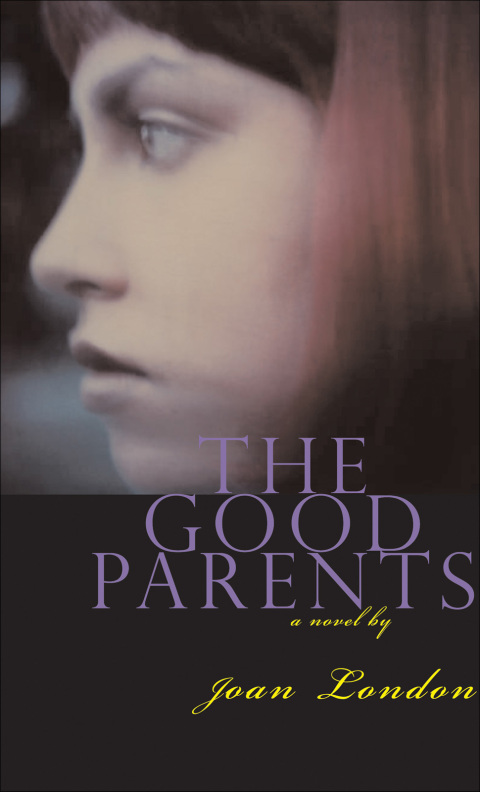 Cover image for book The Good Parents