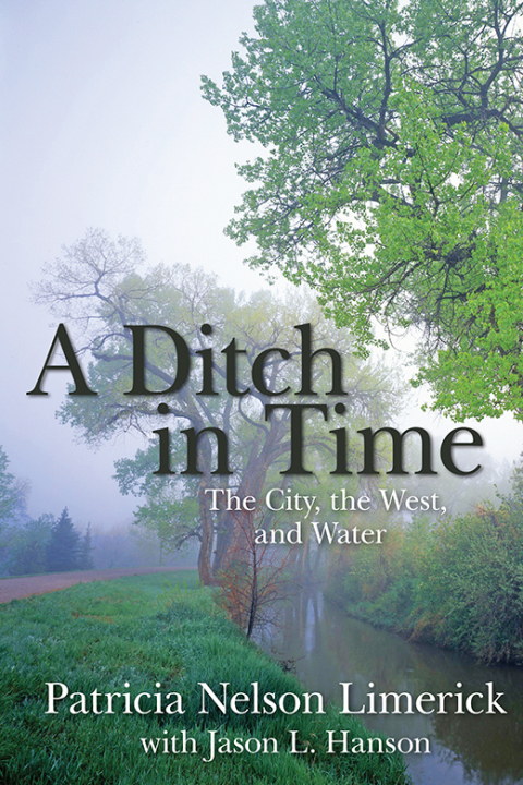 Cover image for book A Ditch in Time