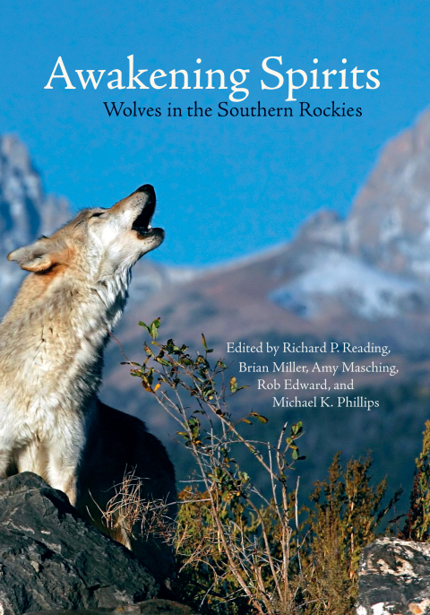 Cover image for book Awakening Spirits