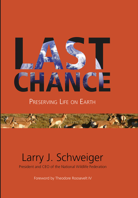 Cover image for book Last Chance