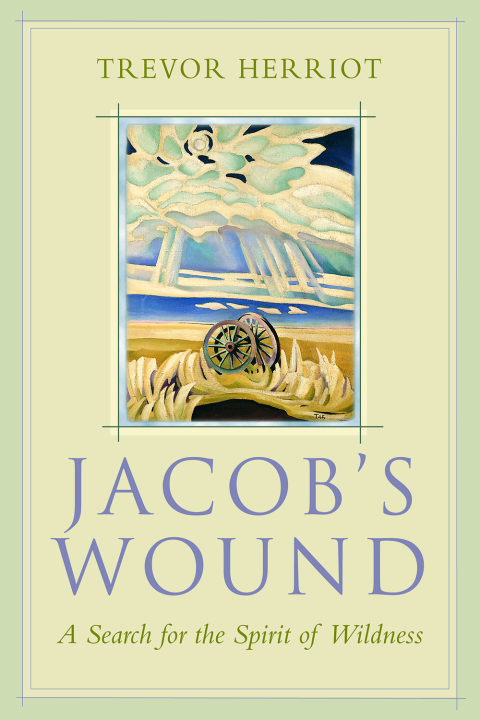 Cover image for book Jacob's Wound