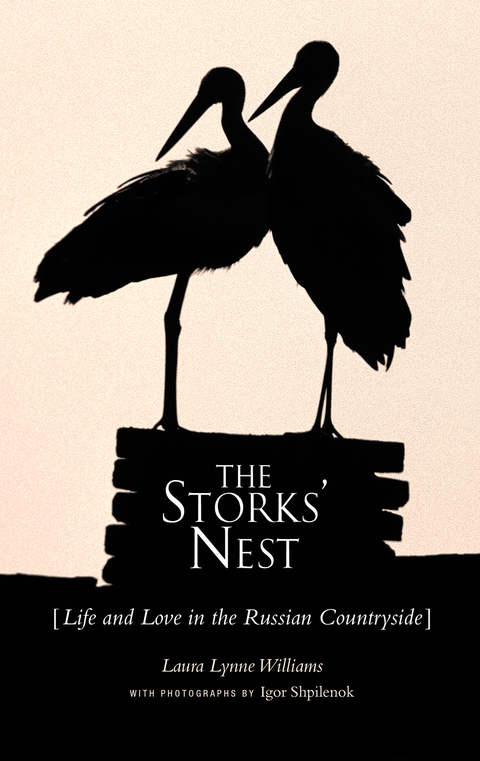 Cover image for book The Storks' Nest