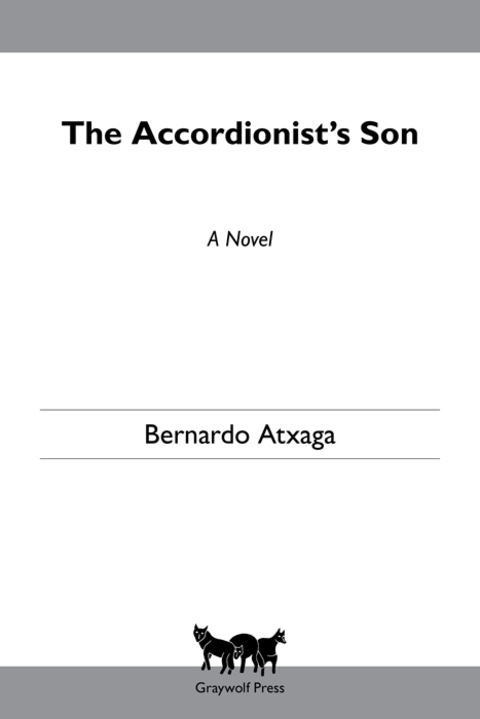 Cover image for book The Accordionist's Son