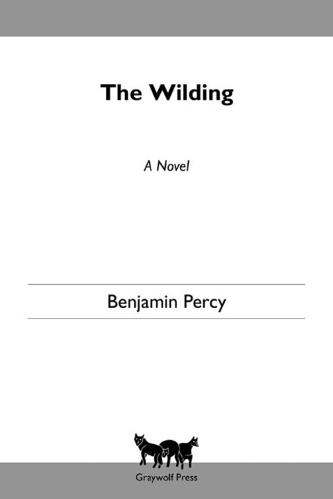 Cover image for book The Wilding