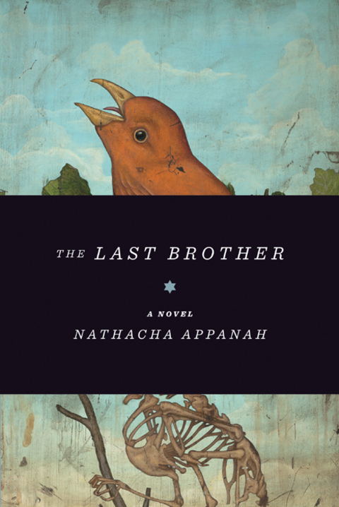 Cover image for book The Last Brother