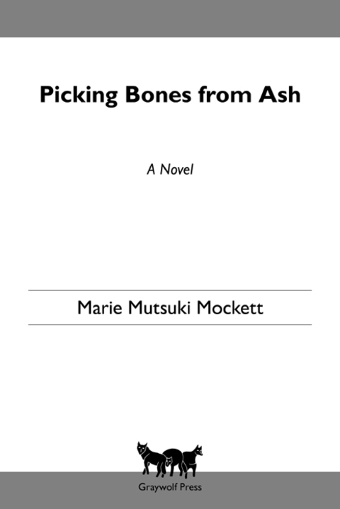 Cover image for book Picking Bones from Ash