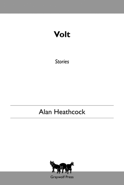 Cover image for book Volt