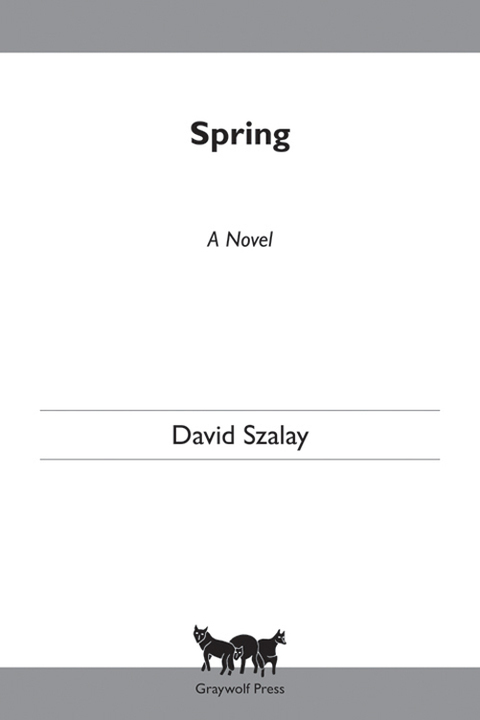 Cover image for book Spring