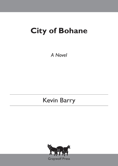 Cover image for book City of Bohane