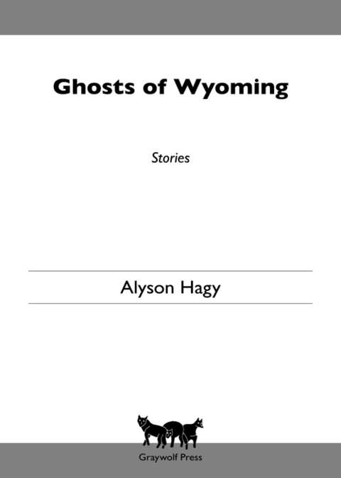 Cover image for book Ghosts of Wyoming