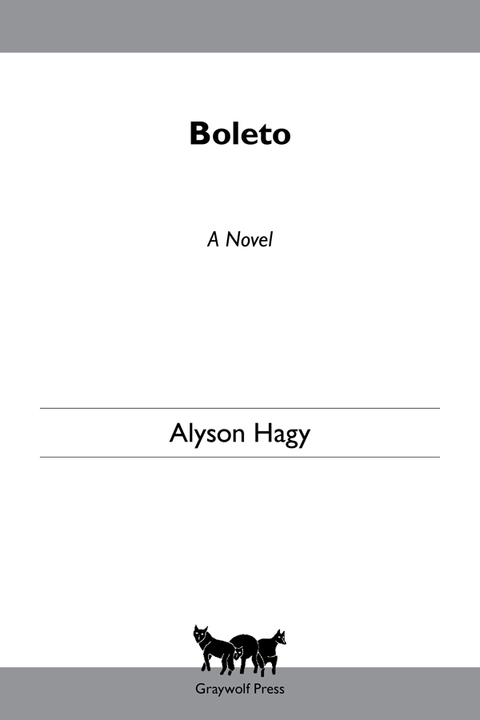 Cover image for book Boleto